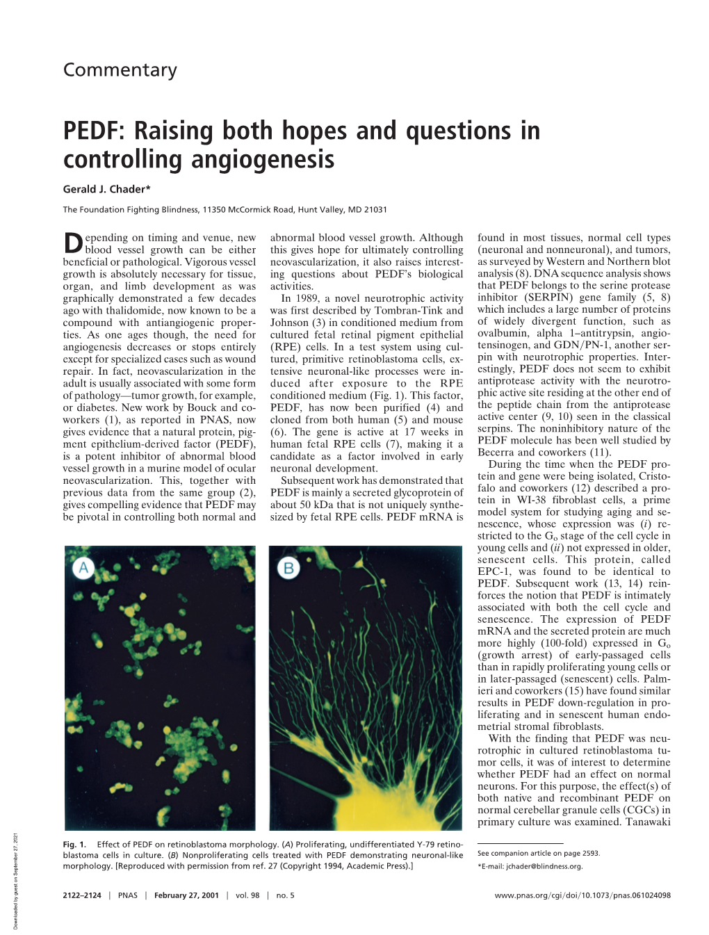 PEDF: Raising Both Hopes and Questions in Controlling Angiogenesis