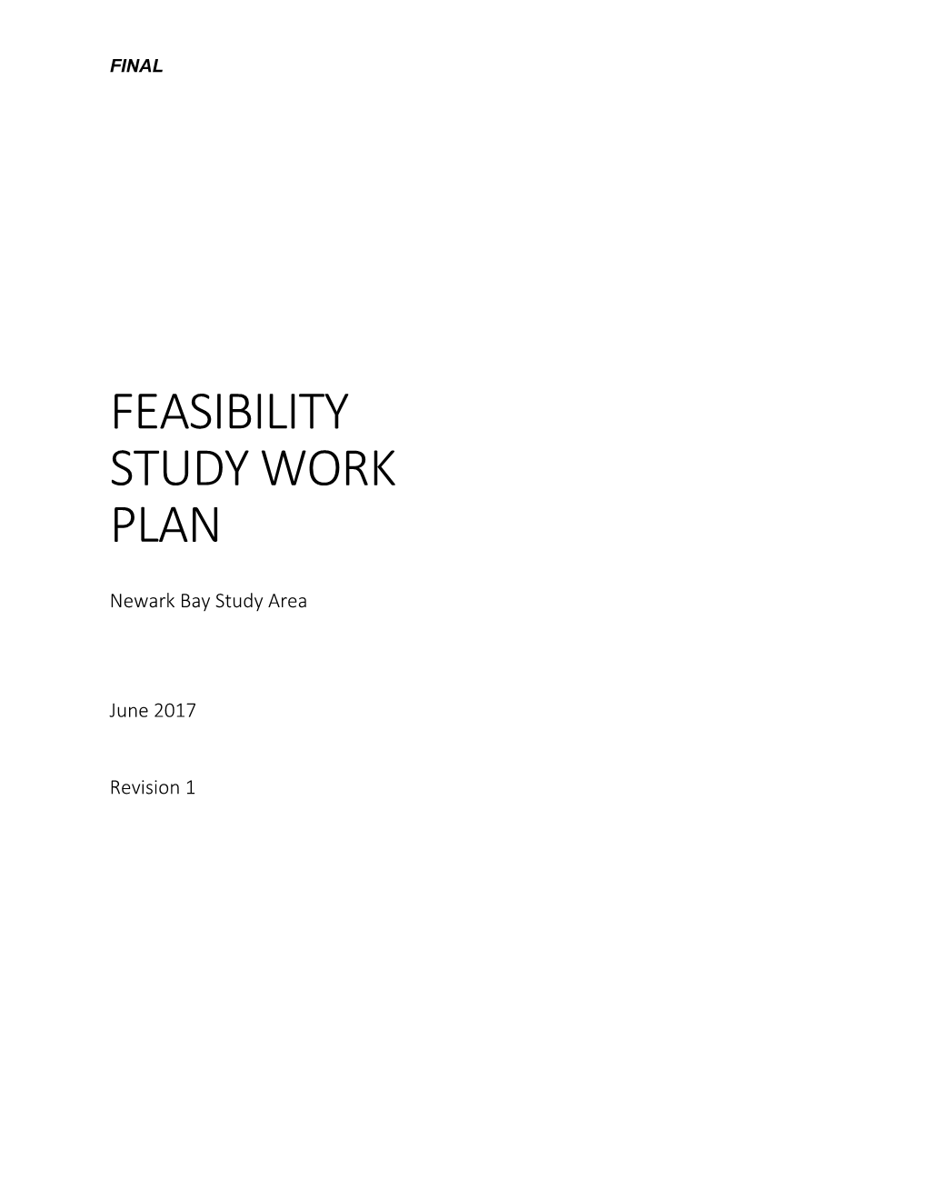 Feasibility Study Work Plan