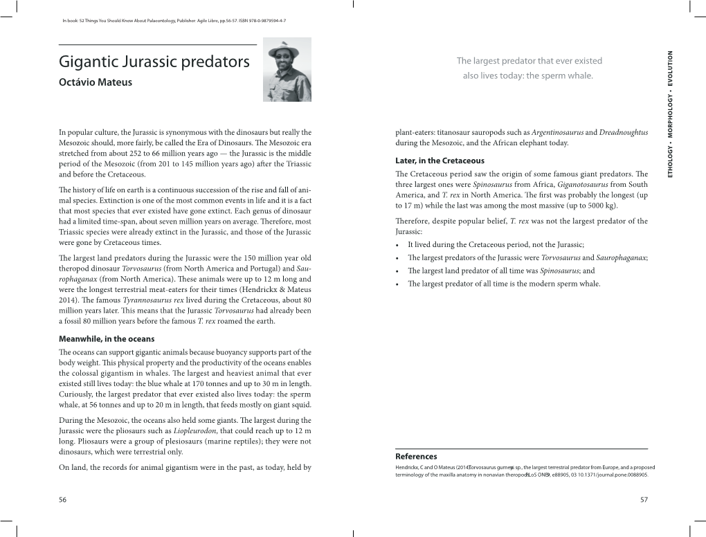 Gigantic Jurassic Predators the Largest Predator That Ever Exis Ted Also Lives Today: the Sperm Whale