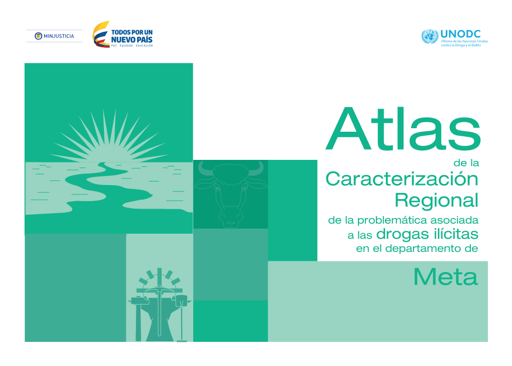 Caracterización Regional De La Problemática Asociada a Las Drogas Ilícitas En El Departamento De Meta