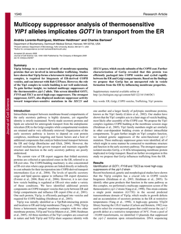 Multicopy Suppressor Analysis of Thermosensitive YIP1 Alleles Implicates GOT1 in Transport from the ER
