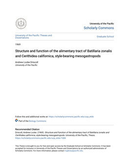 Structure and Function of the Alimentary Tract of Batillaria Zonalis and Cerithidea Californica, Style-Bearing Mesogastropods