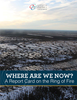 WHERE ARE WE NOW? a Report Card on the Ring of Fire Where Are We Now? a Report Card on the Ring of Fire