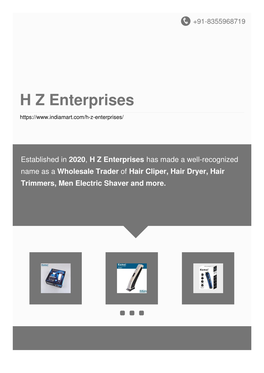 H Z Enterprises