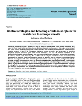 Control Strategies and Breeding Efforts in Sorghum for Resistance to Storage Weevils