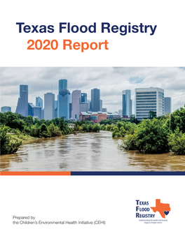 Texas Flood Registry 2020 Report