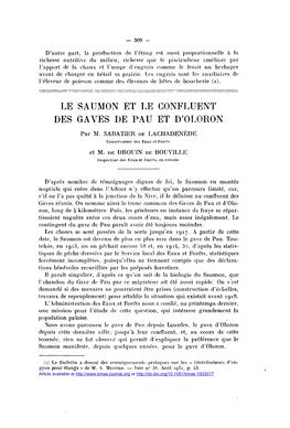 Le Saumon Et Le Confluent Des Gaves De Pau Et D\'Oloron