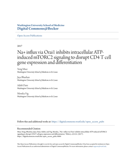 Na+ Influx Via Orai1 Inhibits Intracellular ATP-Induced Mtorc2 Signaling to Disrupt CD4 T Cell Gene Expression and Differentiation." Elife.6