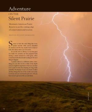 Adventure Silent Prairie