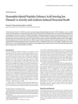 Dynorphin Opioid Peptides Enhance Acid-Sensing Ion Channel 1A Activity and Acidosis-Induced Neuronal Death