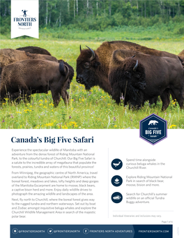 Canada's Big Five Safari