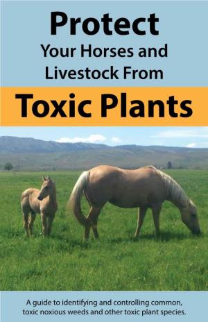 Protect Your Horses and Livestock from Toxic Plants