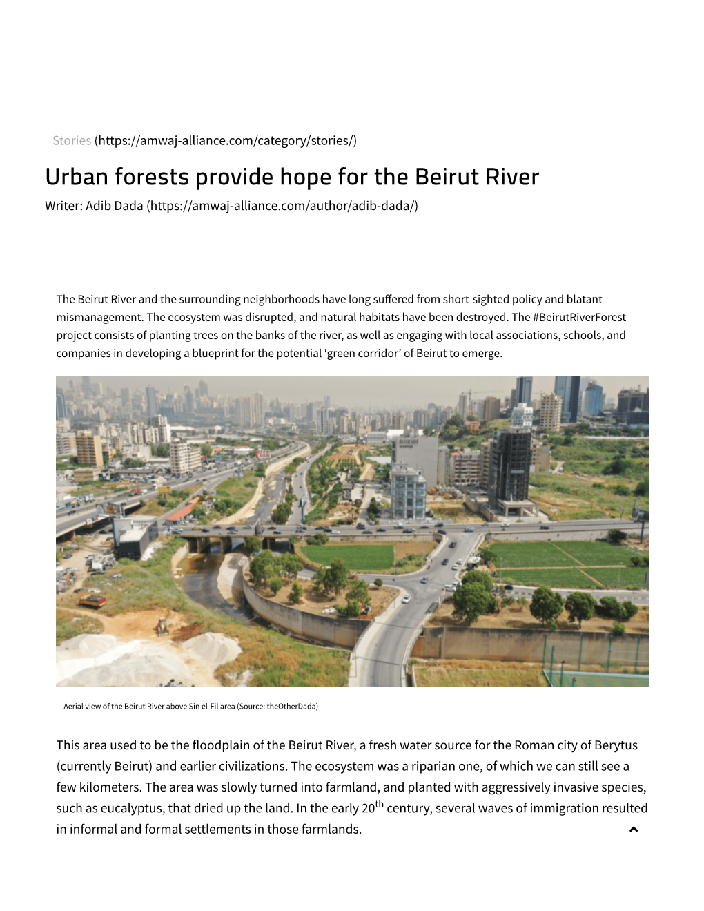 Urban Forests Provide Hope for the Beirut River Writer: Adib Dada (
