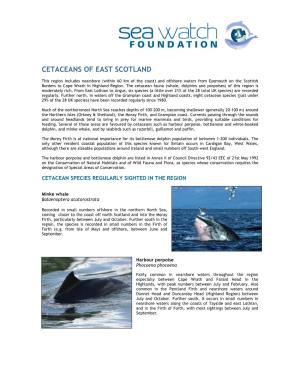 Cetaceans of East Scotland