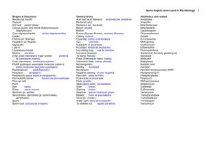 Some English Terms Used in Microbiology 1