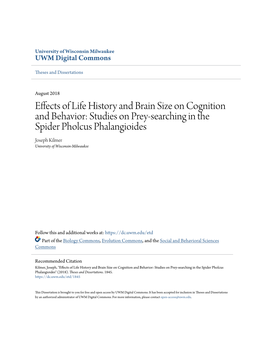 Studies on Prey-Searching in the Spider Pholcus Phalangioides Joseph Kilmer University of Wisconsin-Milwaukee