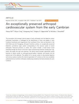 An Exceptionally Preserved Arthropod Cardiovascular System from the Early Cambrian