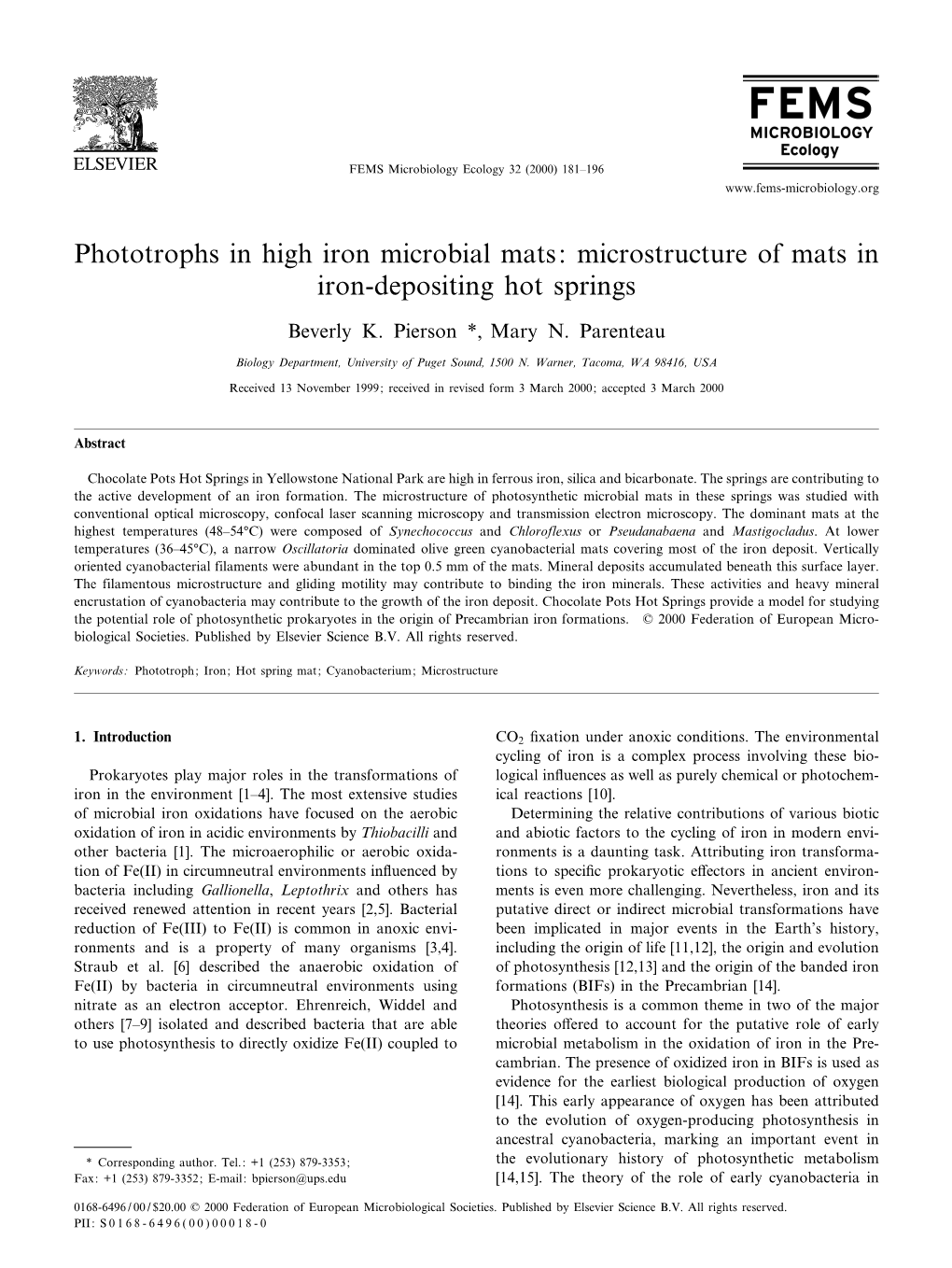 Phototrophs in High Iron Microbial Mats: Microstructure of Mats in Iron-Depositing Hot Springs