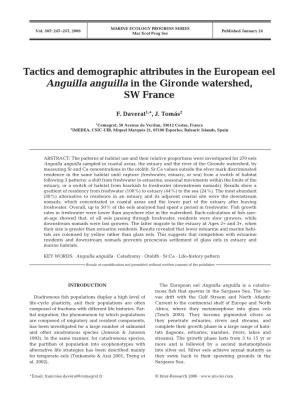 Tactics and Demographic Attributes in the European Eel Anguilla Anguilla in the Gironde Watershed, SW France
