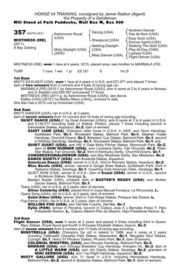 HORSE in TRAINING, Consigned by Jamie Railton (Agent) the Property of a Gentleman Will Stand at Park Paddocks, Wall Box W, Box 500
