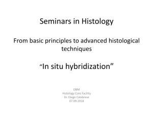Seminars in Histology “In Situ Hybridization”