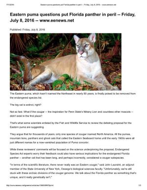 Eastern Puma Questions Put Florida Panther in Perilаннаfriday, July 8