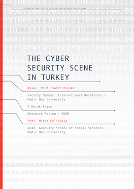 The Cyber Security Scene in Turkey