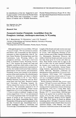 Toxascaris Leonina (Nematoda: Ascarididae) from the Pronghorn Antelope, Antilocapra Americana, in Wyoming