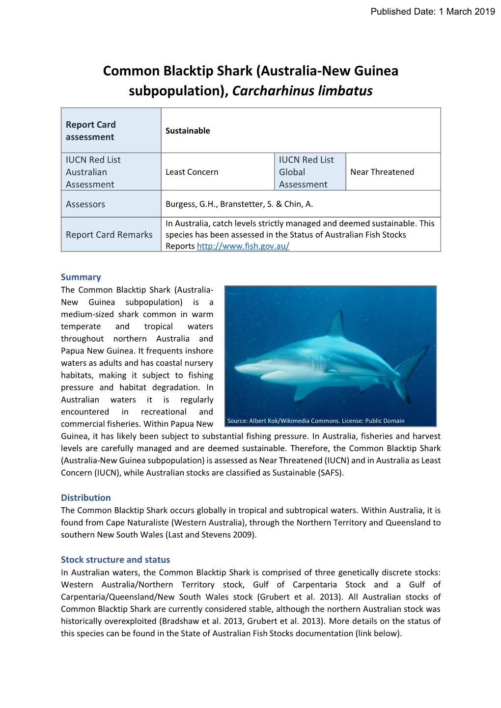 Common Blacktip Shark (Australia-New Guinea Subpopulation), Carcharhinus Limbatus