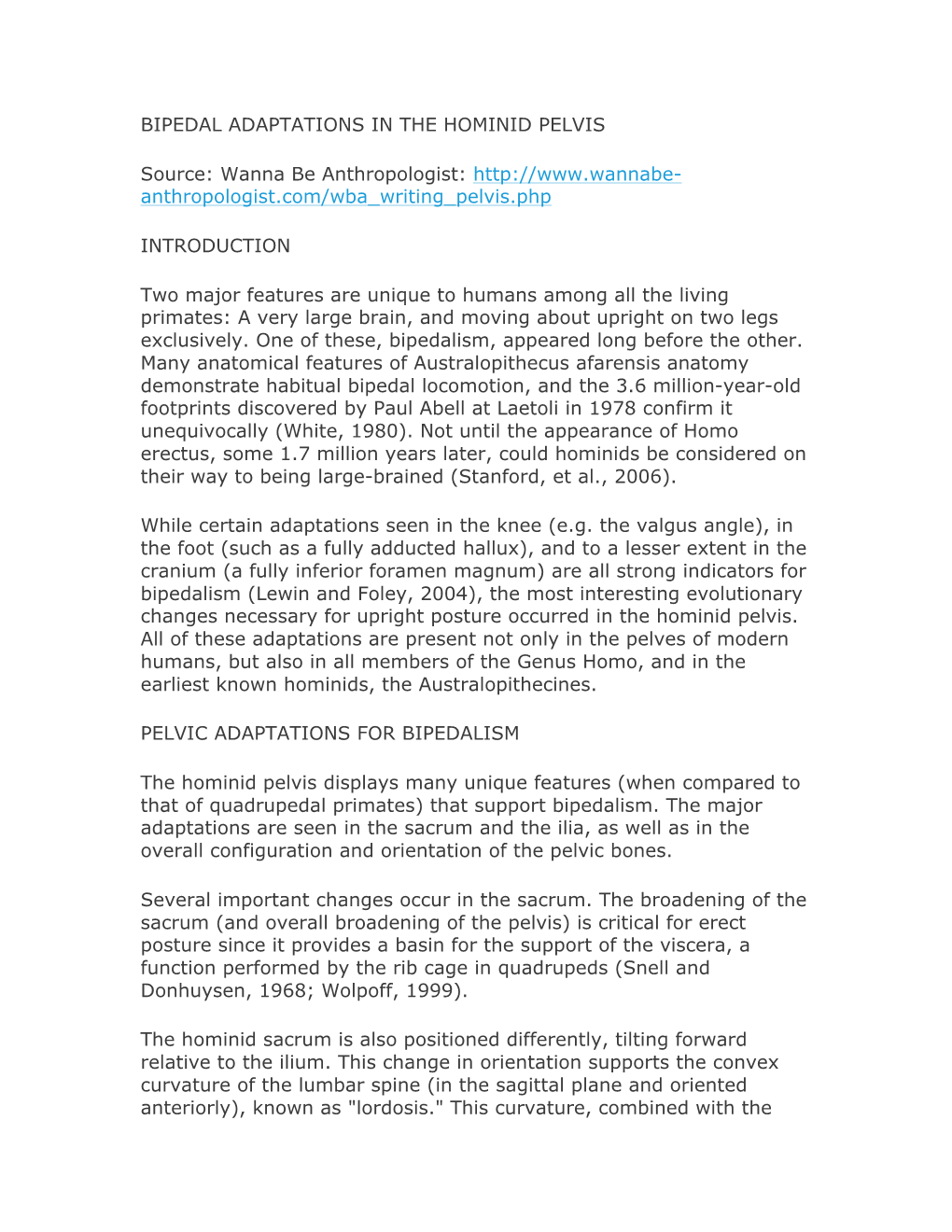 BIPEDAL ADAPTATIONS in the HOMINID PELVIS Source: Wanna Be Anthropologist: Anthropologist.Com/Wba Writing Pe