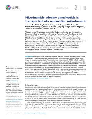 Nicotinamide Adenine Dinucleotide Is Transported Into Mammalian