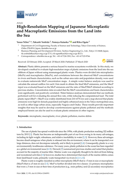High-Resolution Mapping of Japanese Microplastic and Macroplastic Emissions from the Land Into the Sea