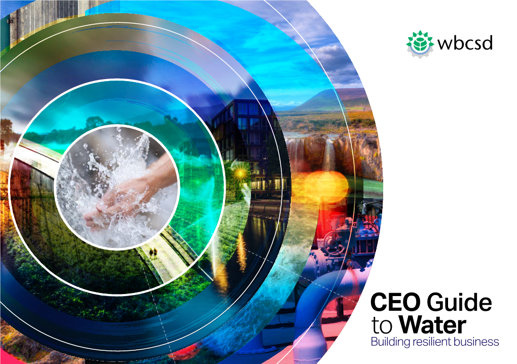 CEO GUIDE to WATER - BUILDING RESILIENT BUSINESS 3 CEO GUIDE FOREWORD Represents a Significant Portion of the Business Depends on Water