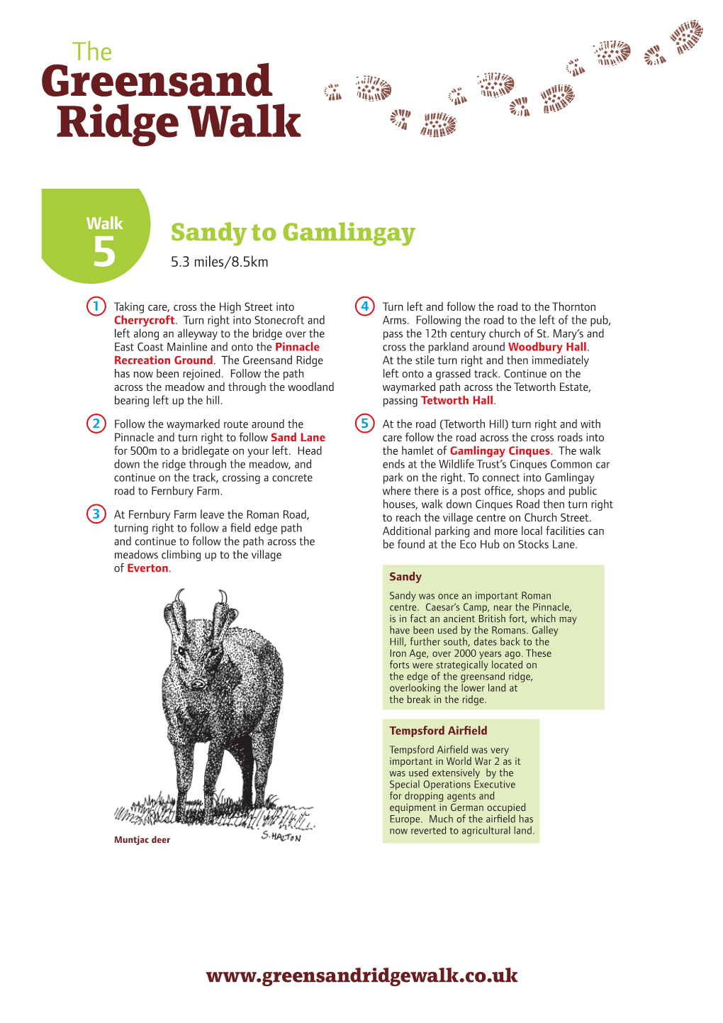 Route Five: Sandy to Gamlingay