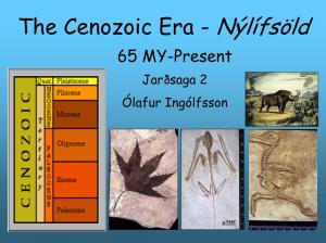 The Cenozoic Era - Nýlífsöld 65 MY-Present Jarðsaga 2 Ólafur Ingólfsson Origin of the Term: the Tertiary Tertiary System