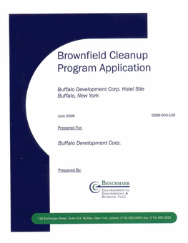 Brownfield Cleanup Program Application