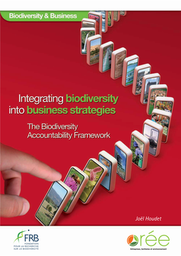 Joël Houdet INTEGRATING BIODIVERSITY INTO BUSINESS STRATEGIES the Biodiversity Accountability Framework