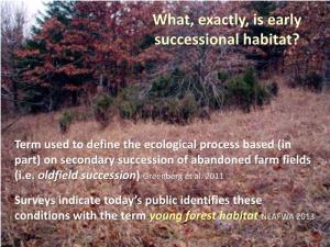 What, Exactly, Is Early Successional Habitat?