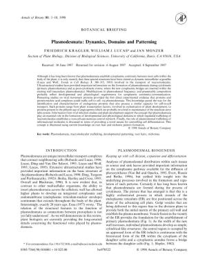 Plasmodesmata: Dynamics, Domains and Patterning