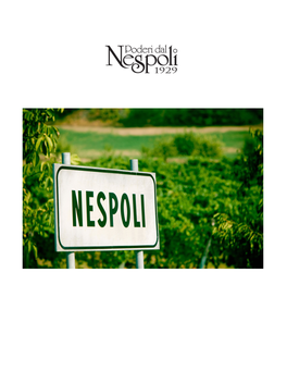 Sales and Marketing and His Efforts in Northern Italy Resulted in Poderi Dal Nespoli Wines As the Most Distributed and Known Wines from Emilia‐Romagna