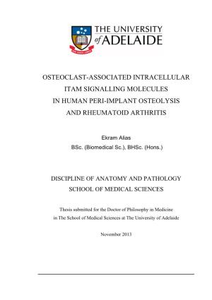 Osteoclast-Associated Intracellular Itam Signalling Molecules in Human Peri-Implant Osteolysis and Rheumatoid Arthritis