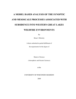 A Model Based Analysis of the Synoptic and Mesoscale Processes