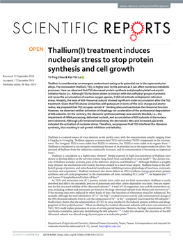 Treatment Induces Nucleolar Stress to Stop Protein Synthesis And