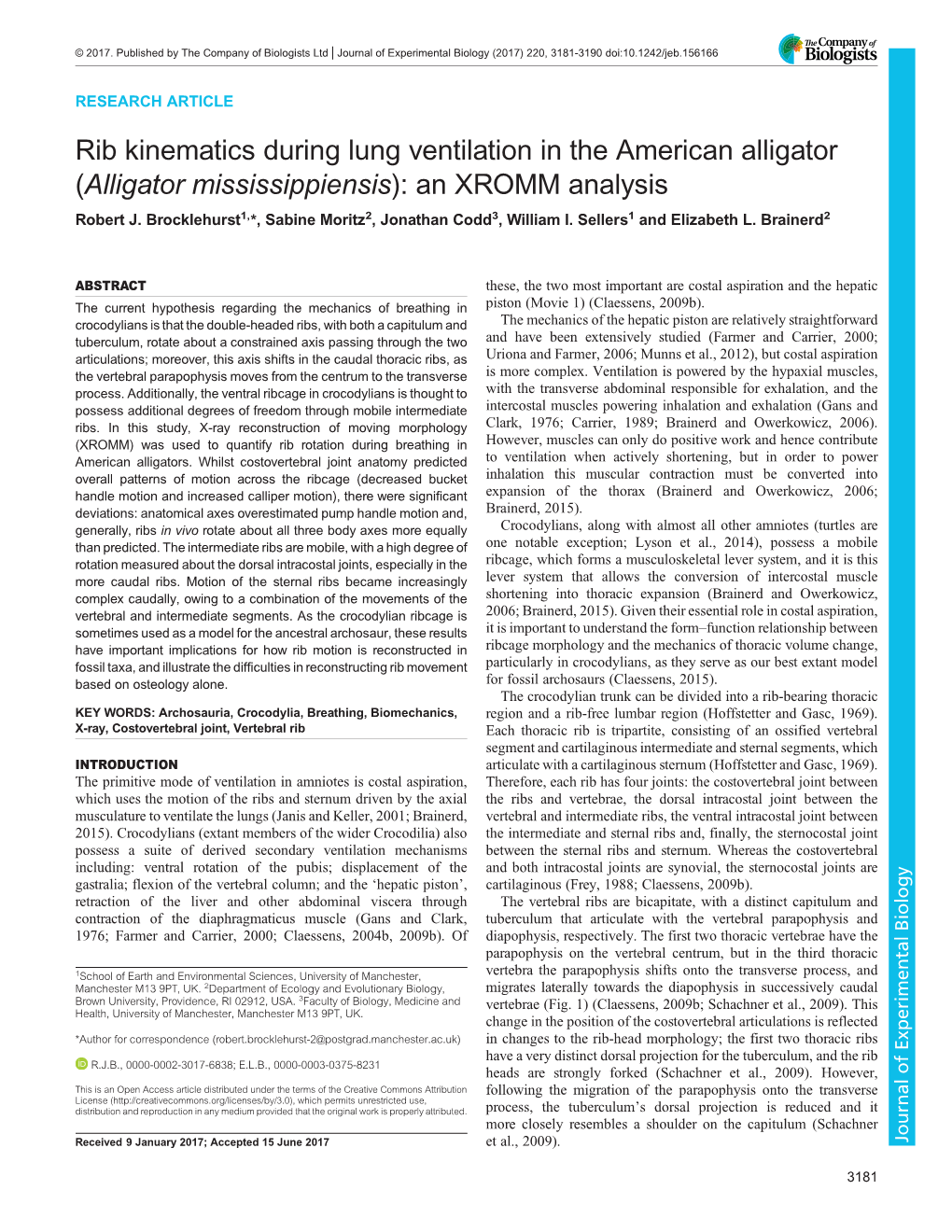 Alligator Mississippiensis): an XROMM Analysis Robert J