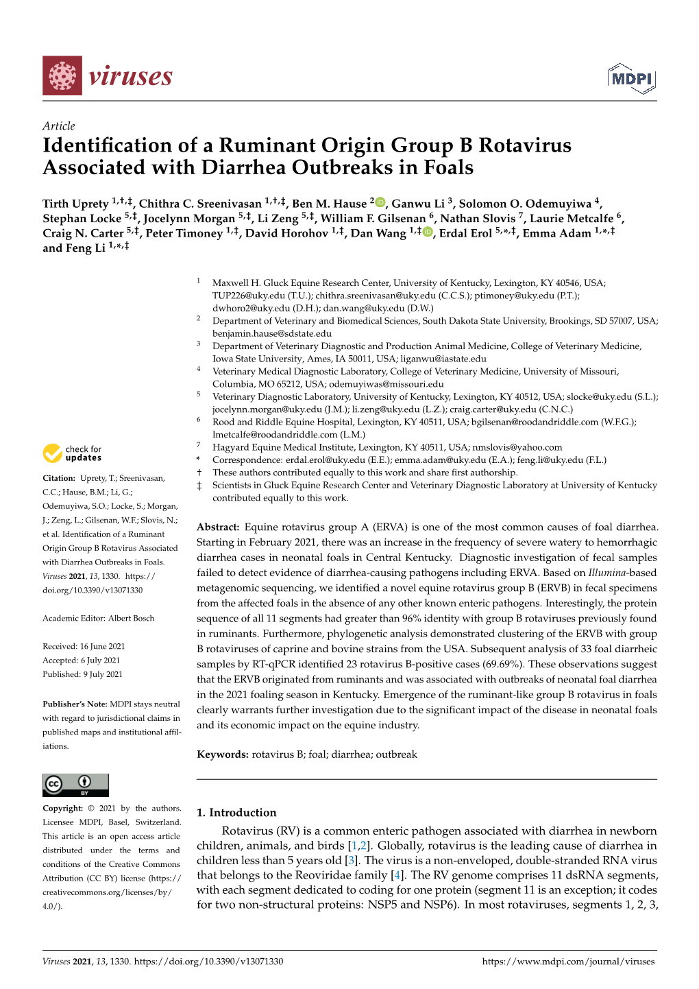 Identification of a Ruminant Origin Group B Rotavirus Associated With