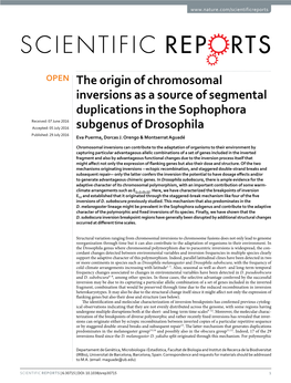 The Origin of Chromosomal Inversions As a Source of Segmental