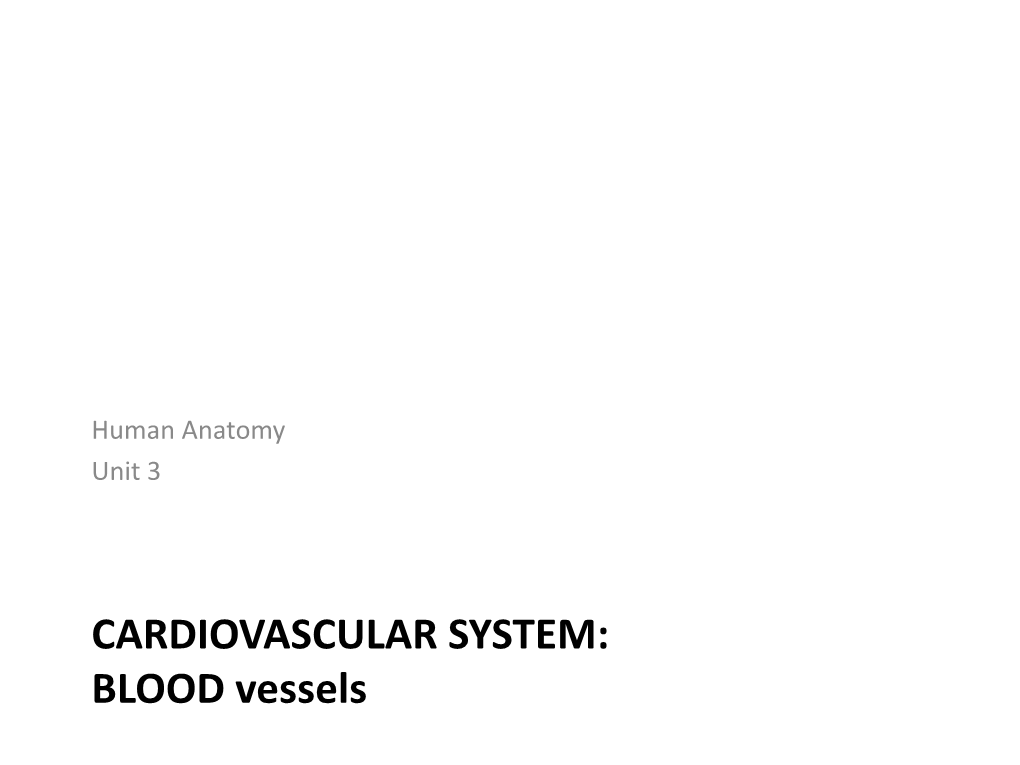 BLOOD Vessels in Anatomy Today Histology of Blood Vessels