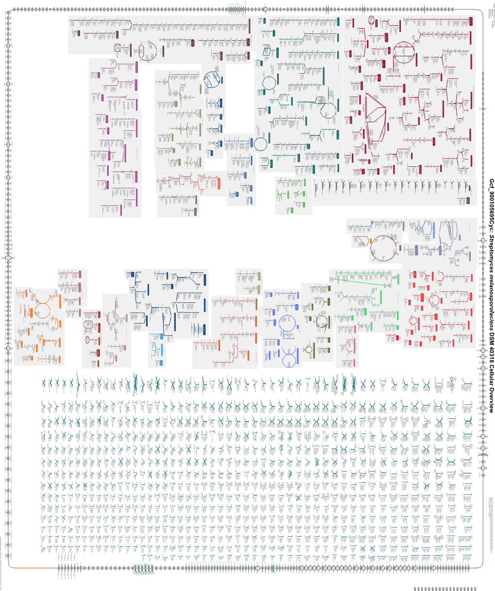 Generated by SRI International Pathway Tools Version 25.0 on Thu