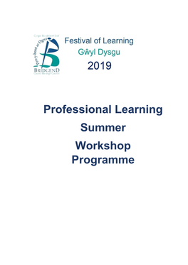 Professional Learning Summer Workshop Programme