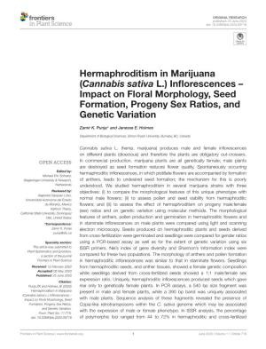 Hermaphroditism in Marijuana (Cannabis Sativa L.) Inﬂorescences – Impact on Floral Morphology, Seed Formation, Progeny Sex Ratios, and Genetic Variation